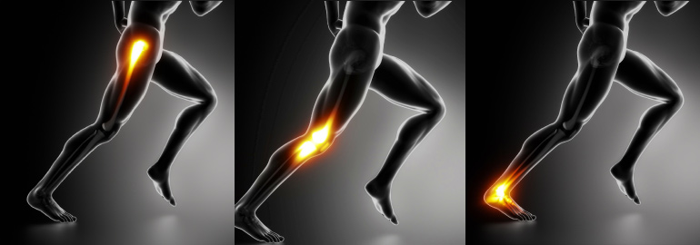 Biomechanics