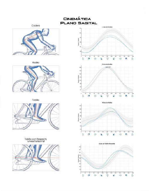 biomechanical cycling laboratory report